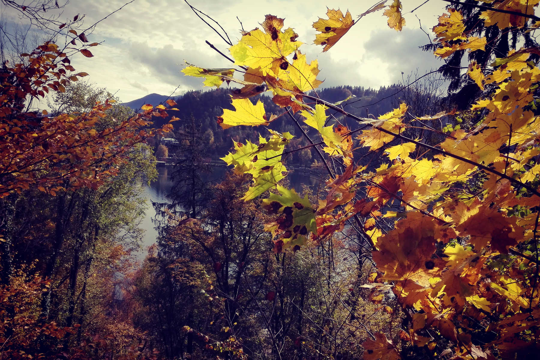 Bled meta romantica Slovenia