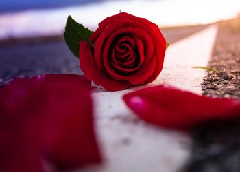 Viaggi romantici per San Valentino
