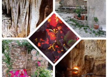 cose da fare Istria
