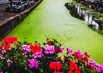 cosa vedere a Delft