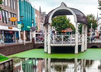 Cosa vedere vicino Amsterdam: Zaandam e Haarlem