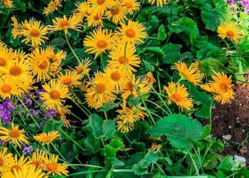 come gestire il mal di testa in viaggio