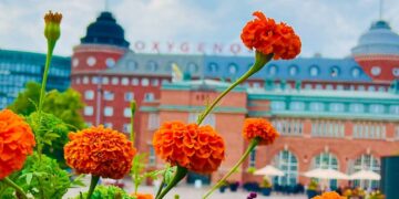 cosa non perdere a Helsinki