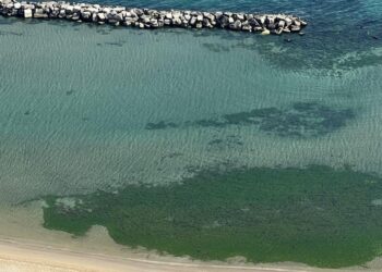 dove andare al mare vicino Pesaro
