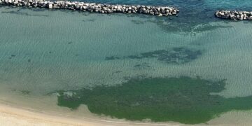 dove andare al mare vicino Pesaro