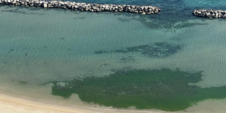 dove andare al mare vicino Pesaro