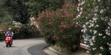 dove andare in Vespa nelle Marche
