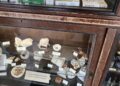 cosa vedere a Tallinn: la farmacia antica
